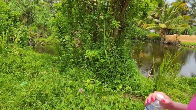 ЧТО ЗА ТЕРРИТОРИЕЙ VILLA BOUNTY смотреть онлайн