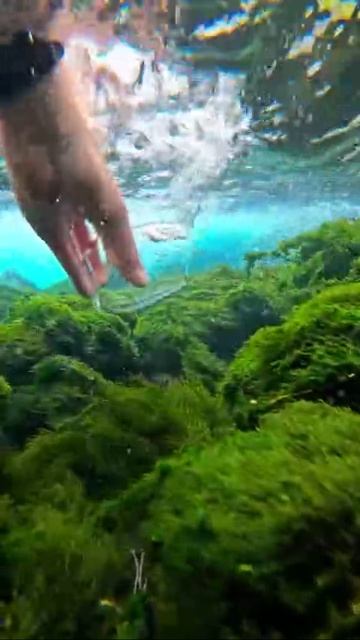 Чистота ума и тела