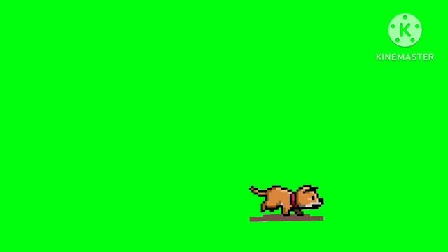 animals stampede green screen смотреть онлайн