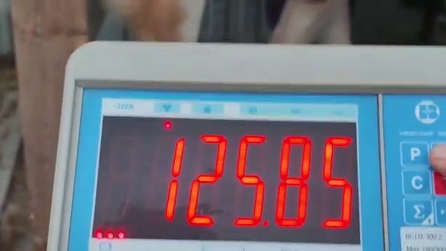 РОСТОВ-НА-ДОНУ🇷🇺 +79034719998 МАКСИМ 🇷🇺WATSAPP смотреть онлайн