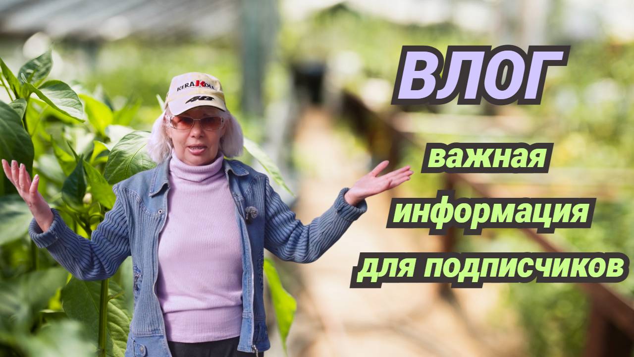 Что в саду/Решили купить грядки/Важные новости.Что дальше? смотреть онлайн