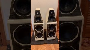 Wilson Watt Puppy VI Test