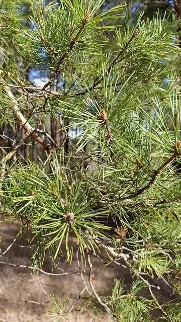 АПРЕЛЬ !  И ЭТО КЛАССНО !!! ♥️♥️♥️