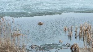 плотик для подсадной утки, 2 серия