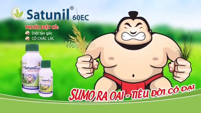 Thuốc Trừ Cỏ Chác Lác Satunil 60EC diệt trừ tất cả loại cỏ dại trên ruộng lúa смотреть онлайн