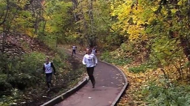 MOV336 смотреть онлайн