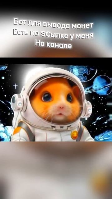 #hamsters #hamsterkombat #хомяки hamster #монета #кликер #коин #shorts смотреть онлайн