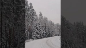 №75 Гармонизация, балансировка, сонастройка полей безопасности