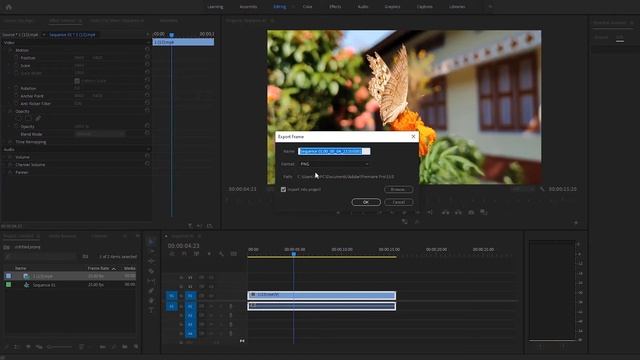How to Take a Screenshot on Adobe Premiere Pro смотреть онлайн