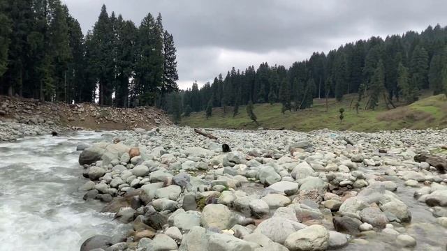 Shaliganga river in Dodpather, Kashmir смотреть онлайн