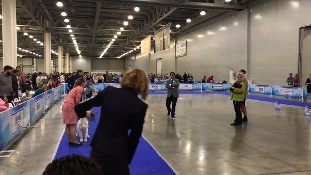 Екатерина Пахомова с Puello Oris Ups, I Did It Again смотреть онлайн