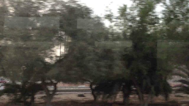 Дубай из автобуса смотреть онлайн