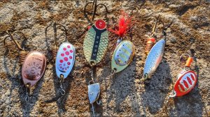 Вращалки на щуку весной. Лучшие блёсны