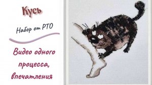 Вышивка от старта до финиша - набор Кусь от РТО