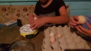 Инкубатор детский