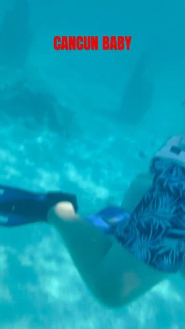 #cancun2024 #cancunvlog #vacationideas #mexicobeach #snorkeling #islamujeres #wow #familygetaway смотреть онлайн