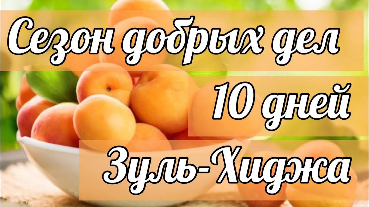 "Зуль-Хиджа" - сезон добрых дел смотреть онлайн