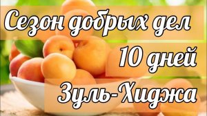 "Зуль-Хиджа" - сезон добрых дел