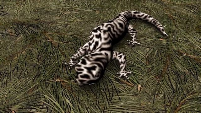 Restoring a Natural Wonder: The Longleaf Pine Forest смотреть онлайн