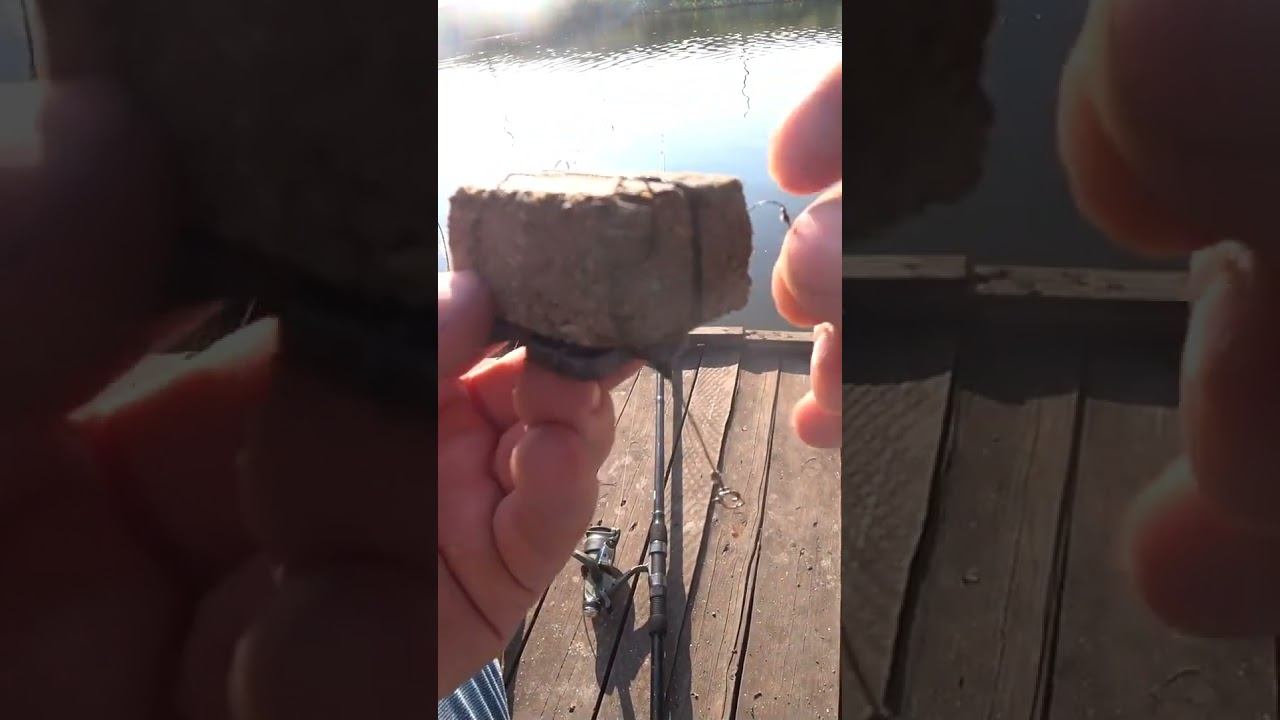 Что такое макушатник #рыбалка #fishing #shorts смотреть онлайн
