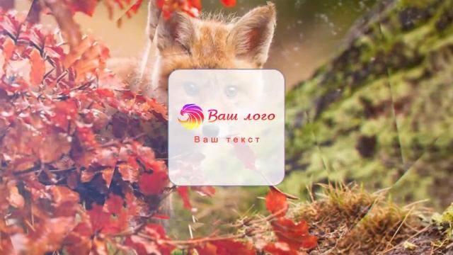 Пример паралакс лого смотреть онлайн