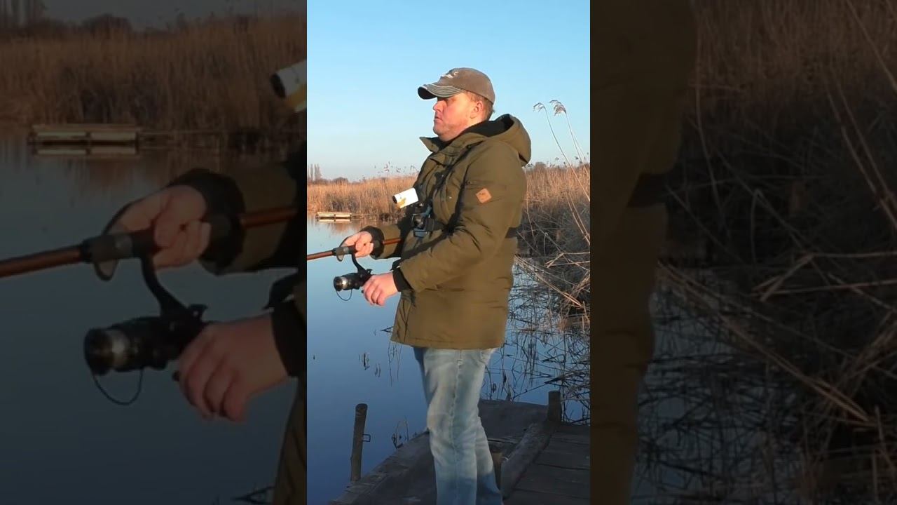 Тест удилища Акара Геден Карп #рыбалка #карповаяловля #карпфишинг #shorts смотреть онлайн