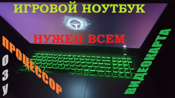Купил игровой ноутбук Thunderobot 911 Plus X
