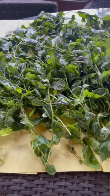 Садовые эксперименты