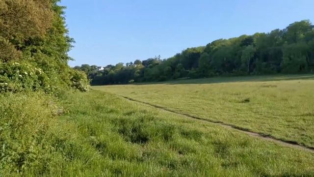 Large Bungalow For Sale, Downside Avenue, Findon, Worthing - Windward Grove Estate Agency, Sussex U смотреть онлайн