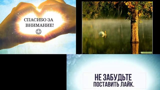 Оля Мама приветствует всех #стрим #stream #nightbot #простоживу #знакомьтесь смотреть онлайн