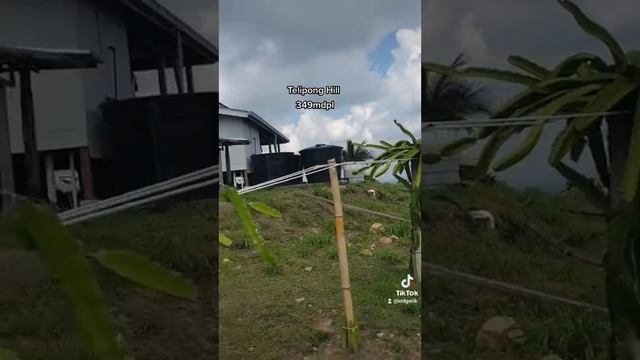 Telipong Hill ,Changlon , Kedah 26 December 2021 #teliponghill смотреть онлайн