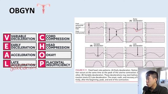 Guide To OBGYN (How To Get Honors!) смотреть онлайн