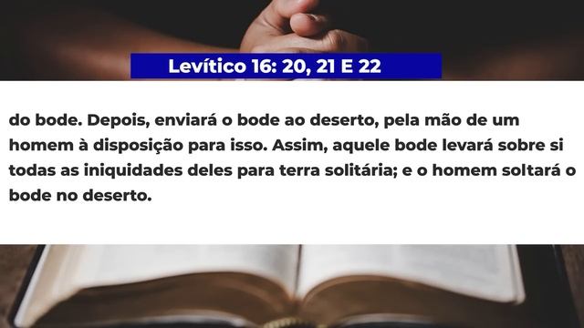 SBT 257 - O MINISTÉRIO DO SUMO SACERDOTE / ENCONTRO COM A VIDA / PASTOR ARILTON OLIVEIRA смотреть онлайн