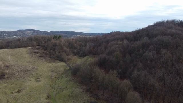 DJI Mavic Mini Footage in DaVinci Resolve - Auto Color Correction Side-by-Side Comparison