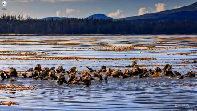 Microsoft Store Erro 0x803FB005 Windows 11 смотреть онлайн