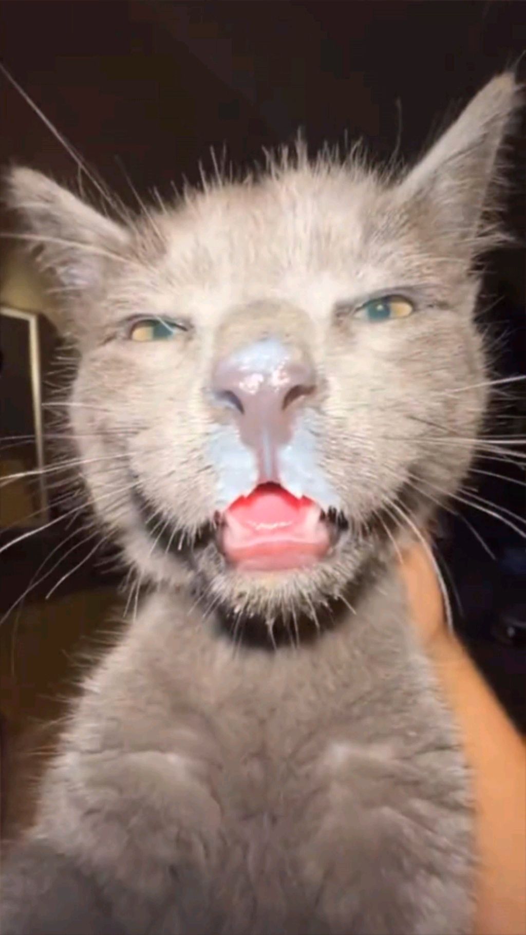 ²²²Я смотреть онлайн