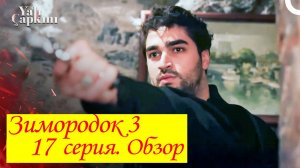 Зимородок 3. Обзор 17 серии