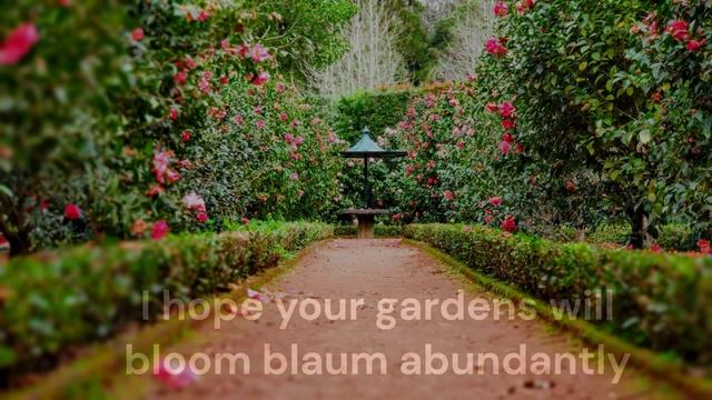 The Soundrops - Gardens смотреть онлайн