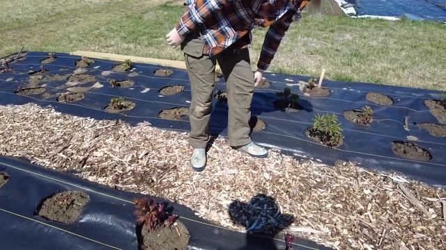 Spring = 💰On a Flower Farm | Tour смотреть онлайн