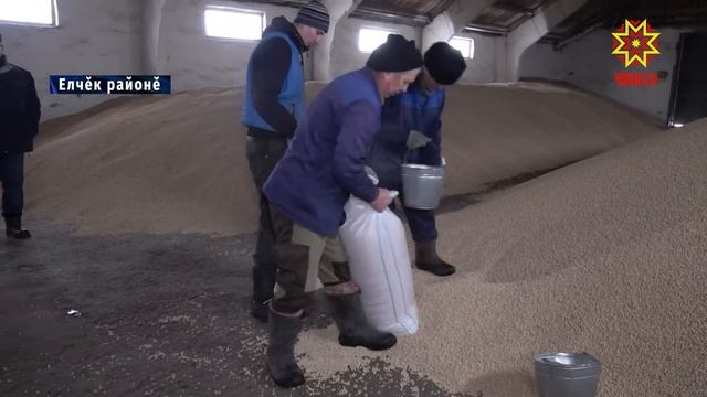 Республика 26.02.2020 на чувашском языке. Вечерний выпуск смотреть онлайн