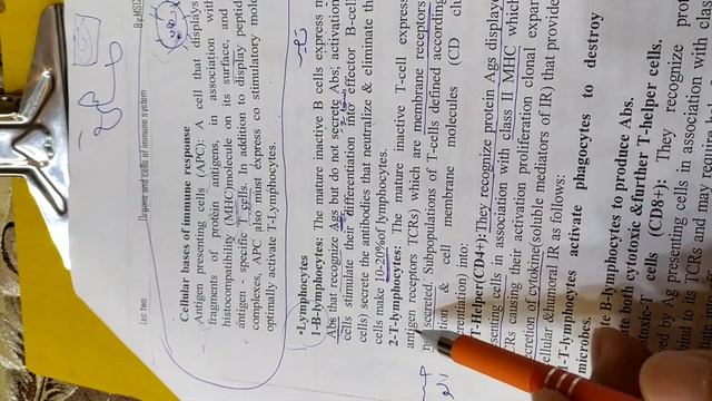 تكملة شرح محاضرة المناعة النظري الثانية مرحلة ثالثة смотреть онлайн