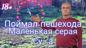 Оставил голубей на пару минут И....