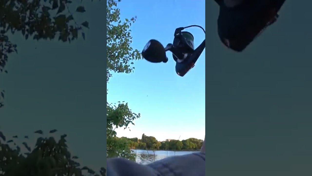 Поклёвка на фидер #рыбалка #fishing #фидер #shorts смотреть онлайн
