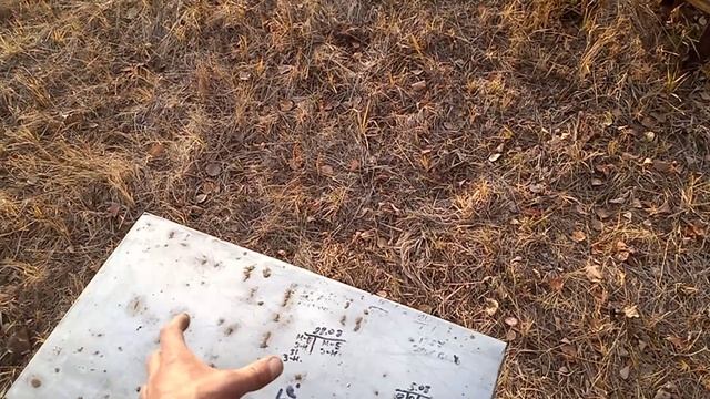 Осенняя оттепель. Обработка пчелосемей от клеща. смотреть онлайн