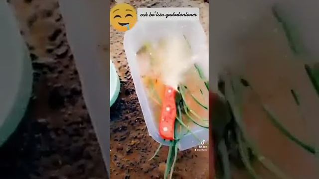 фунчоза салат.свой агорот смотреть онлайн