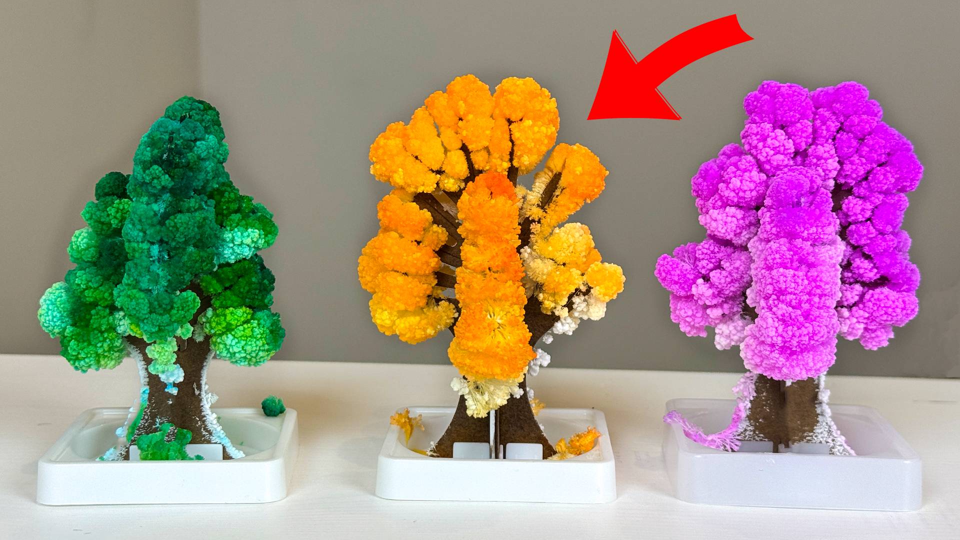 Я Вырастил Волшебное Дерево из Соли смотреть онлайн