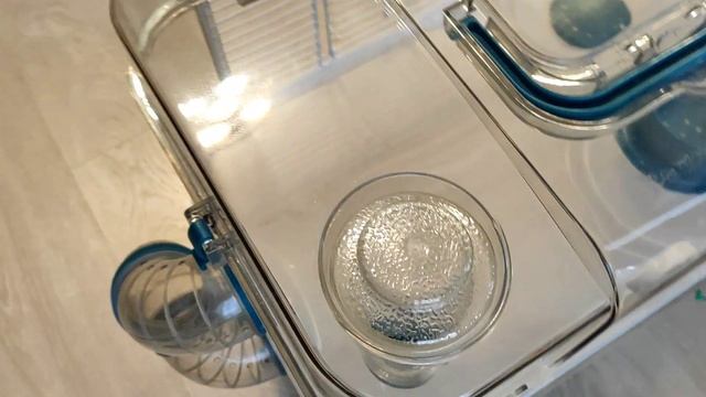 NVEExport смотреть онлайн