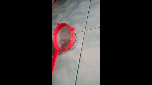 Bussines Plan - Loly Lips