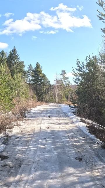 г. Тотьма лесная прогулка смотреть онлайн