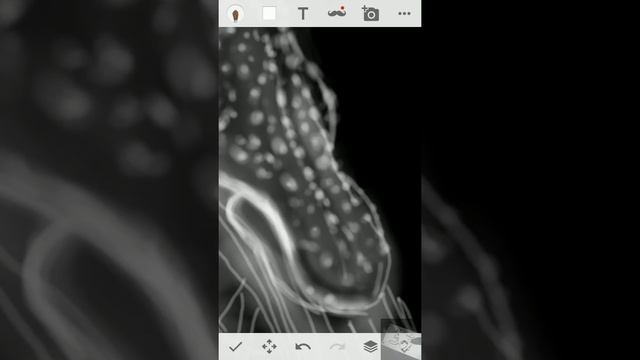menggambar binatang purbakala nautilus, Draw a Chambered Nautilus | White On Black Drawings смотреть онлайн